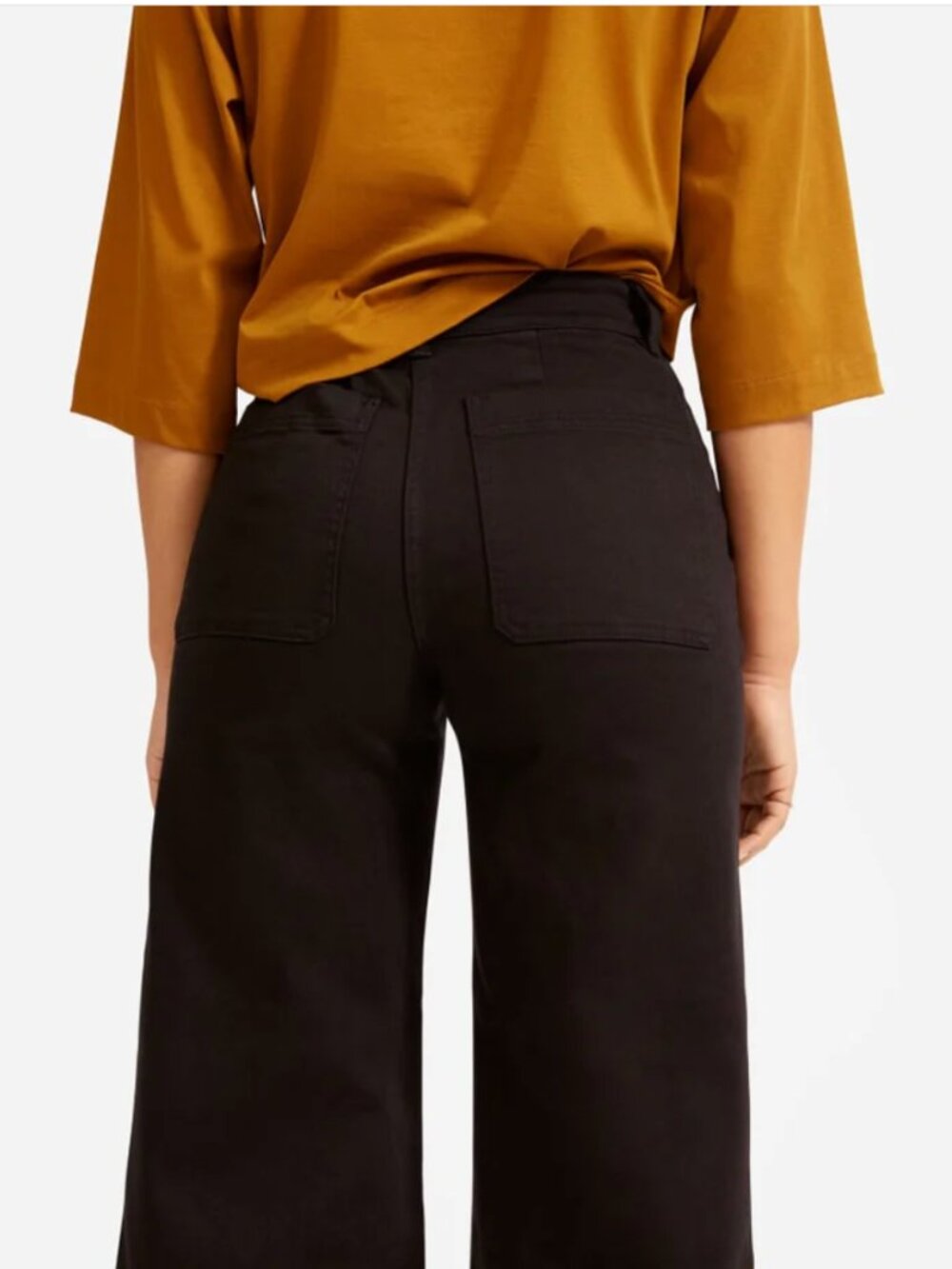 Everlane Wide-Leg Crop Pant Size 6